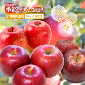 【ふるさと納税】りんご 先行予約 定期便 3ヶ月 長野 季節のりんご 5kg あきばえ シナノスイート サンふじ フルーツ 果物 旬 長野県 長野市 2025年 10月から12月発送予定 定期 お楽しみ 3回 長野県長野市 　お届け：2026年10月中旬～12月中旬