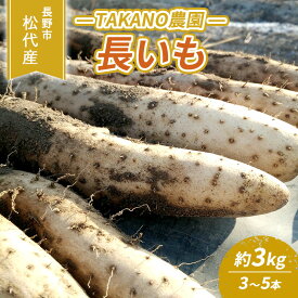 【ふるさと納税】先行予約 長野市松代産 TAKANO農園　長いも 約3kg【3～5本】 野菜 根菜 長野県産 ネバネバ シャキシャキ とろろご飯 具材 食材 国産 　お届け：2025年11月下旬～2026年3月上旬