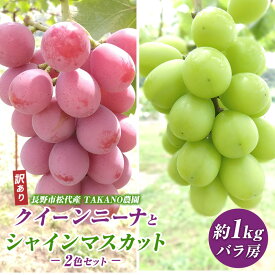 【ふるさと納税】先行予約 長野市松代産 TAKANO農園 訳ありクイーンニーナとシャインマスカット2色セット 約1kg（バラ房）2025年発送 果物 フルーツ 食後 デザート 種無し ぶどう詰め合わせ ぶどう 食べ比べ 　お届け：2026年9月下旬～10月下旬