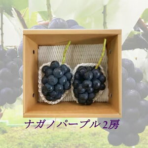 yӂ邳Ɣ[Łzy2025N9菇zMBYiKmp[v2[iv1kgȏj嗱[ ʕ Ԃǂ t[c Ȃ 炲 H׉ H̖o @͂F2026N8菇