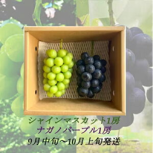 yӂ邳Ɣ[Łzy2025N9菇zMBYiKmp[v1[VC}XJbg1[@嗱[ ʕ Ԃǂ t[c Ȃ 炲 H׉ Ԃǂ̐Hה H̖o @