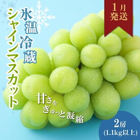 【ふるさと納税】【2026年1月より順次発送】信州産冷蔵シャインマスカット 2房（1.1kg以上）大粒＆大房 果物 ぶどう フルーツ みずみずしい 長野県産 食後 デザート 　お届け：2026年1月上旬より順次発送