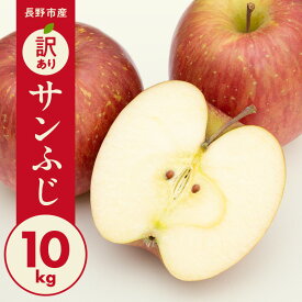 【ふるさと納税】【2025年11月中旬より順次発送 先行予約】 訳あり りんご 長野市産 サンふじ 約 10kg 果物 フルーツ 食後 デザート 豊富な果汁 信州産 長野りんご 信州のりんご　お届け：2025年11月中旬より順次発送