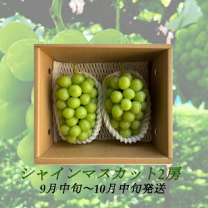 yӂ邳Ɣ[Łzy2025N9菇zMBYVC}XJbg2[iv1kgȏj嗱[ ʕ Ԃǂ t[c fU[g H Ȃ 炲 H̖o {̉ʕ @͂F2025N9