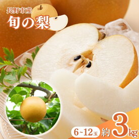 【ふるさと納税】2026年産 農家おすすめ「梨」（幸水または豊水）約3kg（6玉～12玉） 果物 フルーツ デザート 食後 秋の味覚 旬の果物 果汁たっぷり ジューシー 　お届け：2026年9月上旬～10月上旬