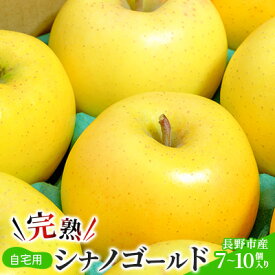 【ふるさと納税】2026年産 ご自宅用　完熟シナノゴールド 7-10個入り 果物 りんご フルーツ デザート 食後 長野りんご 信州りんご ジューシー 生産者直送 　お届け：2026年11月上旬～11月下旬