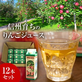 【ふるさと納税】信州育ちのりんごジュース 12本詰 果実飲料 飲料類 飲み物 フルーツジュース アップルジュース 長野市産りんご りんご100％ ストレートジュース コク