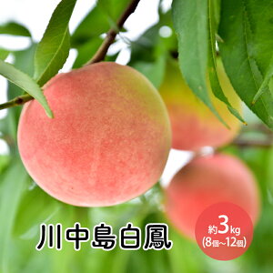 �y�ӂ邳�Ɣ[�Łz2026�N���� �쒆�����P��3kg�i8�`12�j �@���͂��F2026��7�����{�`8����{�܂�