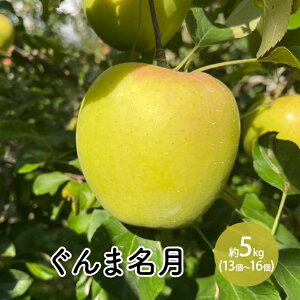 yӂ邳Ɣ[Łzܖ5kgi13`16j @͂F2025N11{`11{܂