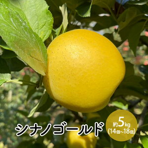 yӂ邳Ɣ[ŁzVimS[h5kgi14`18j @͂F2025N10{`10܂