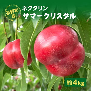 �y�ӂ邳�Ɣ[�Łz2026�N���� ����s�Y�l�N�^�����u�T�}�[�N���X�^���v��4kg �@���͂��F2026�N7����{�`���{