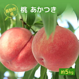 【ふるさと納税】2026年発送 長野市産桃「あかつき」約5kg 　お届け：2026年7月下旬～8月上旬