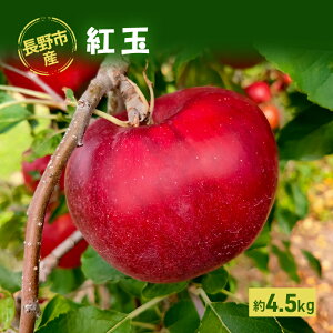 �y�ӂ邳�Ɣ[�Łz2026�N���� ����s�Y�u�g�ʁv��4.5kg �@���͂��F2026�N9�����{�`���{