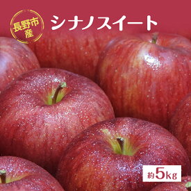 【ふるさと納税】2026年発送 長野市産「シナノスイート」約5kg　お届け：2026年10月中旬～11月中旬