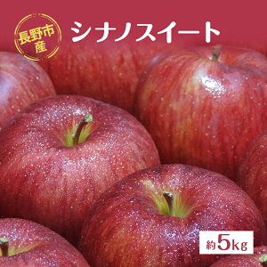 yӂ邳Ɣ[ŁzsYuVimXC[gv5kg @͂F2025N10{`11{