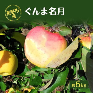 yӂ邳Ɣ[ŁzsYuܖv5kg @͂F2025N11{`{