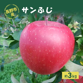 【ふるさと納税】長野市産「サンふじ」約3kg 　お届け：2025年11月下旬～2026年1月末