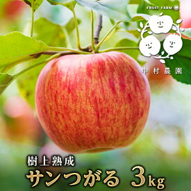 【ふるさと納税】2026年産先行予約 りんご 3kg 樹上熟成 サンつがる 林檎 リンゴ 果物 くだもの フルーツ 旬の果物 旬のフルーツ 季節の果物 季節のフルーツ 美味しい果物 長野県産 長野県産りんご 信州 長野 長野県 長野市　お届け：2026年8月下旬～9月下旬