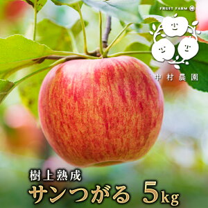 yӂ邳Ɣ[Łz2026NYs\  5kg n T ь S ʕ  t[c {̉ʕ {̃t[c G߂̉ʕ G߂̃t[c ʕ 쌧Y 쌧Y