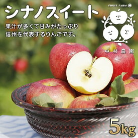 【ふるさと納税】2026年産先行予約 りんご 5kg 樹上熟成 シナノスイート 林檎 リンゴ 果物 くだもの フルーツ 旬の果物 旬のフルーツ 季節の果物 季節のフルーツ 美味しい果物 長野県産 長野県産りんご 信州 長野 長野県 長野市　お届け：2026年10月中旬～11月中旬
