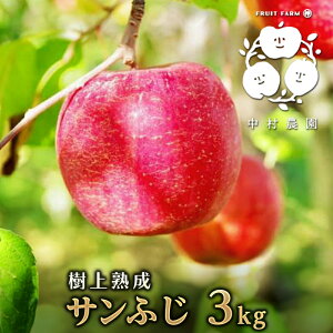 yӂ邳Ɣ[Łzy2025NYzn@Tӂ 3kg @͂F2025N1120`2026N131