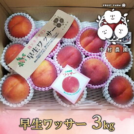 【ふるさと納税】2026年産先行予約 早生 ワッサー 3kg 桃 ネクタリン 黄桃 硬い桃 果物 くだもの フルーツ 旬の果物 旬のフルーツ 季節の果物 季節のフルーツ 美味しい果物 長野県産 信州 長野 長野県 長野市　お届け：2026年7月下旬～8月中旬