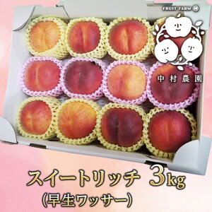 yӂ邳Ɣ[Łz2026NYs\ XC[gb` 3kg  bT[  lN^  d ʕ  t[c {̉ʕ {̃t[c G߂̉ʕ G߂̃t[c ʕ 