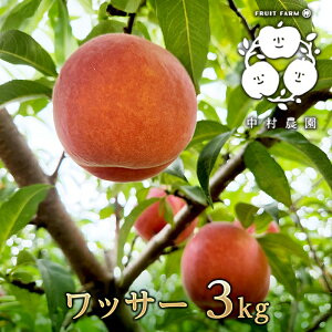 yӂ邳Ɣ[Łzs\ bT[ 3kg  lN^  d ʕ  t[c {̉ʕ {̃t[c G߂̉ʕ G߂̃t[c ʕ 쌧Y MB  쌧 