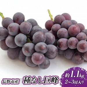 �y�ӂ邳�Ɣ[�Łz�햳������ ��1.1kg 2�`3�[ ����s�Y ���� ��Ȃ� �Ԃǂ� ���� �u�h�E �ʕ� �������� �t���[�c �{�̉ʕ� �{�̃t���[�c �G�߂̉ʕ� �G�߂̃t���[�c ���������ʕ� ��Ȃ����� ��