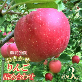 【ふるさと納税】りんご 米山農園のおまかせりんご約3kg 秋映え シナノスイート シナノゴールド 王林 さんふじ セット 長野県 長野市　お届け：2025年10月上旬～2026年1月中旬