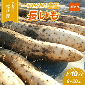 【ふるさと納税】先行予約 長野市松代産 TAKANO農園　長いも 約10kg（訳あり）【8～20本】長芋　ながいも　お届け：2025年11月下旬～2026年3月上旬