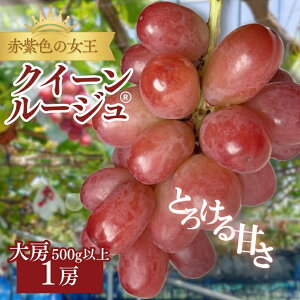 �y�ӂ邳�Ɣ[�Łz2026�N�Y��s�\�� �N�C�[�����[�W�� 1�[�@��[500g�ȏ���� �Ԃǂ� �u�h�E ���� ���쌧 ���쌧�Y �@���͂��F2026�N9�����{�`11����{