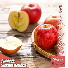 【ふるさと納税】長野市産りんご　サンふじ4kg（ご家庭用）長野市 お取り寄せ　お届け：2025年11月下旬～2025年12月下旬まで