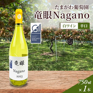 yӂ邳Ɣ[ŁzC@Nagano@yGIzF s C