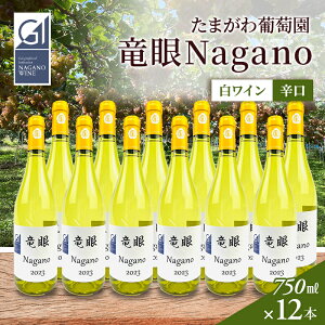 yӂ邳Ɣ[ŁzC@Nagano@yGIzF@12{Zbg s C