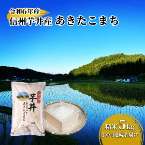 �y�ӂ邳�Ɣ[�Łz�� �y3�����A�����͂��z�ߘa7�N�Y�@�M�B����Y���������܂�����5kg ����� ���� ���͂� �R�� ���� ���� ������ �M�B ����