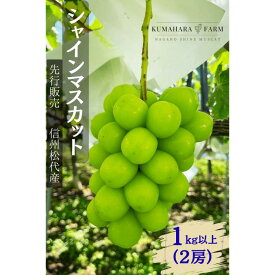 【ふるさと納税】ぶどう シャインマスカット1kg以上 果物 信州 長野県 長野市 　お届け：2026年9月下旬～10月下旬