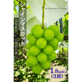 【ふるさと納税】ぶどう シャインマスカット1.8kg以上 果物 信州 長野県 長野市 　お届け：2026年9月下旬～10月下旬