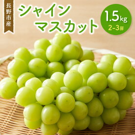 【ふるさと納税】2026年産先行予約シャインマスカット 1.5kg 2-3房 長野市産 フルーツ 果物 ぶどう ※配送不可:沖縄、離島　お届け：2026年9月上旬～10月中旬まで