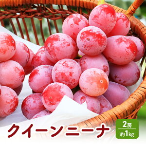 �y�ӂ邳�Ɣ[�Łz2026�N�Y��s�\�� �N�C�[���j�[�i 2�[ ��1kg �Ԃǂ� ���� �t���[�c �ʕ� ����s�@���͂��F2026�N9����{�`11�����{