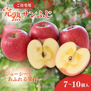 yӂ邳Ɣ[Łz p nTӂ 7-10 S t[c ʕ fU[g MB s@͂F2025N11{`12{