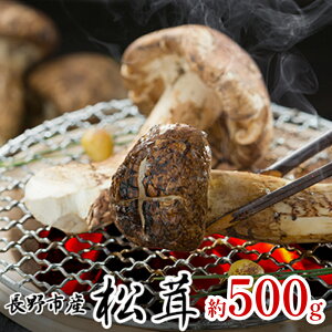 yӂ邳Ɣ[Łzsn  500g(4`8{) ̂ ܂@͂F2025N8{`11{