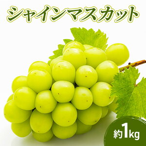 �y�ӂ邳�Ɣ[�Łz�V���C���}�X�J�b�g 1kg �ʕ� �t���[�c �}�X�J�b�g ���쌧�@���͂��F2026�N9�����{�`10�����{