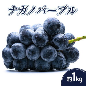 �y�ӂ邳�Ɣ[�Łz�i�K�m�p�[�v�� 1kg �ʕ� �t���[�c �Ԃǂ� ���쌧�@���͂��F2026�N8�����{�`9�����{