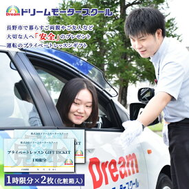 【ふるさと納税】プライベートレッスン　ギフトチケット　1時限分×2枚 体験 チケット 長野市