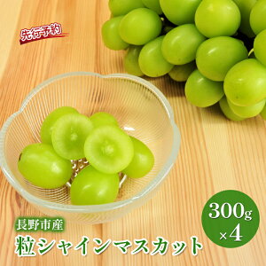 �y�ӂ邳�Ɣ[�Łz2026�N�Y��s�\�� ���V���C��300g×4�@�V���C���}�X�J�b�g �ʕ��� �Ԃǂ� �t���[�c �ʕ� ����s�@���͂��F2026�N9�����{�`11�����{�܂�