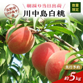【ふるさと納税】【先行予約】【数量限定】【朝採り当日出荷】信州・長野市川中島平産 もも「川中島白桃」約5kg（10～16玉） 2026年8月20日前後より順次発送　お届け：2026年8月下旬～8月下旬まで
