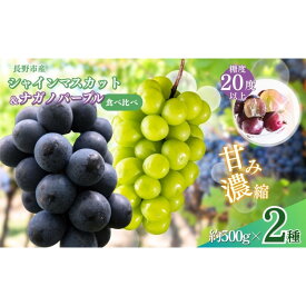【ふるさと納税】ぶどう シャインマスカット ＆ ナガノパープル 2種類 詰め合わせ 葡萄 ブドウ 果物 フルーツ シャイン マスカット デザート おやつ 信州 セット お楽しみ 食べ比べ 2026年秋発送