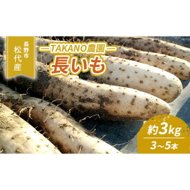 【ふるさと納税】高野農園　長野市松代産 TAKANO農園　長いも 約3kg(訳あり)【3～5本】 野菜 根菜 長野県産 ネバネバ シャキシャキ とろろご飯 具材 食材 国産 | 長芋 ながいもとろろ 人気 おすすめ 産地直送 送料無料 長野県 長野市 信州 信濃 ふるさと納税