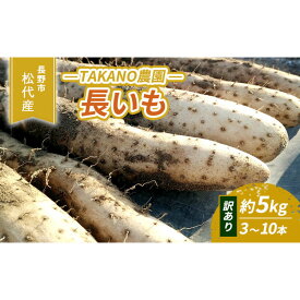 【ふるさと納税】長野市松代産 TAKANO農園　長いも 約5kg（訳あり）【3～10本】 野菜 根菜 長野県産 ネバネバ シャキシャキ とろろご飯 具材 食材 国産 | 野菜 根菜 長野県産 ネバネバ シャキシャキ とろろご飯 具材 食材 国産